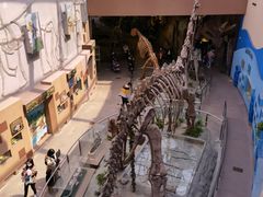 -陕西自然博物馆