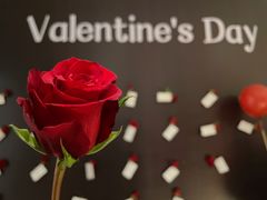 -徐州博顿温德姆酒店(高铁东站店)