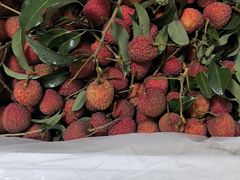-顺峰(农展馆店)
