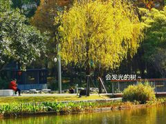 -四海公园(南山区)