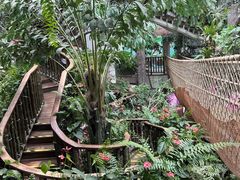 -正佳雨林生态植物园