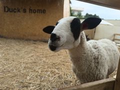 -HERRE·FARM 赫尔露营农场·团建聚会包场