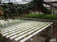 照片 066-北戴河集发农业梦想王国