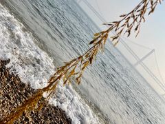 -星海广场