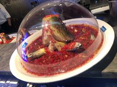 -坛宗剁椒鱼头(河西王府井店)