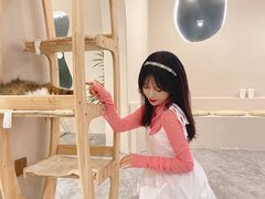 -More Fun猫咖 二十只万元加菲主题