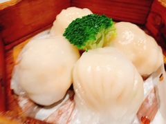-粤食堂(天津和悦汇店)