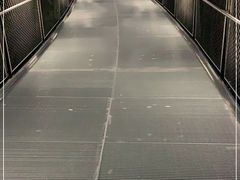 -狐尾山公园