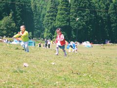 -武陵山森林公园