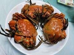 -芸海阁·农家私房菜(沙家浜景区出口店)