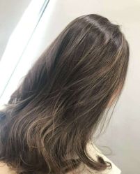 -YESIDO椰岛造型