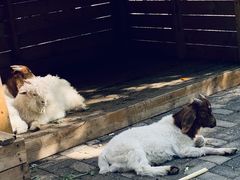 -长白岛森林公园