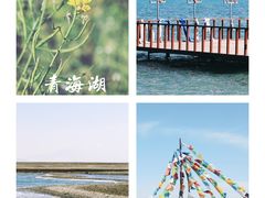 -青海湖国家重点风景名胜区