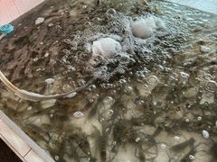 -芭提雅Amporn Seafood自助餐厅