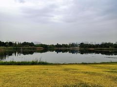 -武汉园博园(武汉自然博物馆)