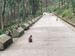 -黔灵山公园