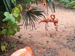 -南京禄口机场雅高铂尔曼大酒店