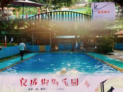 -良成狗狗乐园