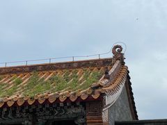 -北陵公园