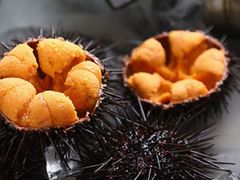 -苏大嘴蒸汽海鲜·海胆蒸饺(中山广场店)