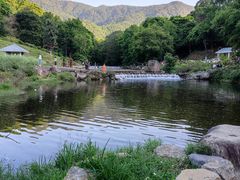 -广州市石门国家森林公园