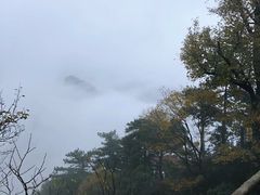 -东天目山风景区