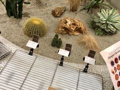 -OUR Bakery(SKP-S店)