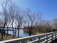 -大兴滨河森林公园