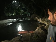 -清迈夜间动物园