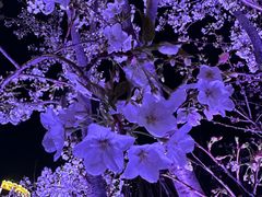 -海合安武汉极地海洋公园