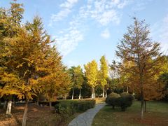 -白塘生态植物园