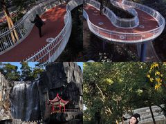 -金鸡山公园