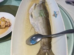 -席家花园(巨鹿花园店)