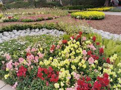 -龙环葡韵住宅式博物馆