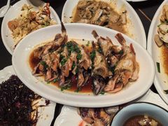 -金海湾海鲜排档(朱家尖店)