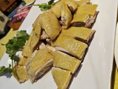 湛江 白切鸡-新高记·粤菜·湛江鸡(南头古城店)
