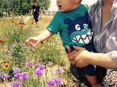 意大利农场-意大利农场度假村