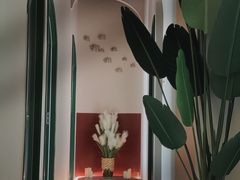 -泰乐道·SPA·按摩·足道(坡子街店)