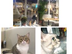 -小时光咖啡馆(开森度假森林店)