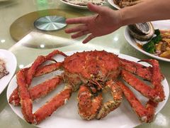 -新金盛·海鲜酒楼(盐田店)