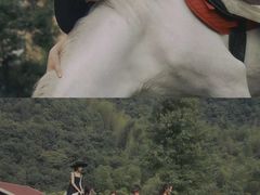 -梦娜斯庄园