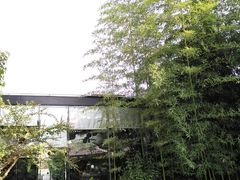 -漫渡庄绿岛花园•隐世庭园菜(滨湖店)
