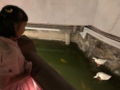 -豫园湖心亭茶楼