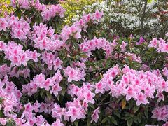 -玄武湖景区-情侣园游乐场