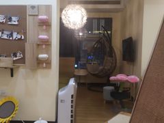 -滚猫咖啡·猫咖·猫友好撸猫(未来城店)