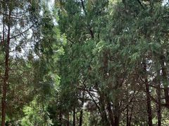 -响堂山石窟-北响堂山石窟
