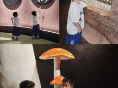 -厦门诚毅自然探索馆
