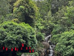 -姑婆山森林酒店