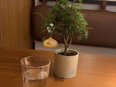-CURRY YA 熟成咖哩專門店(深圳湾万象城店)