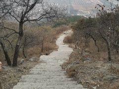 -北京西山国家森林公园